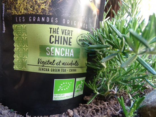 Thé Vert Sencha - Chine