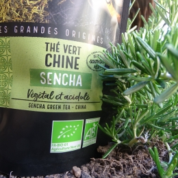 Thé Vert Sencha - Chine
