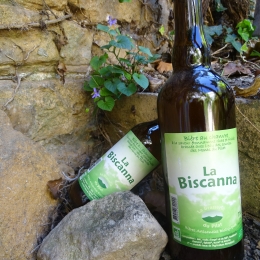 Bière Blonde "Biscanna"
